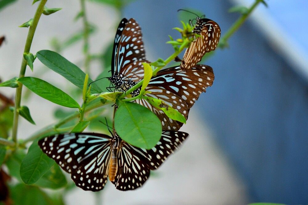 Фотография автора Наталья Владимировна