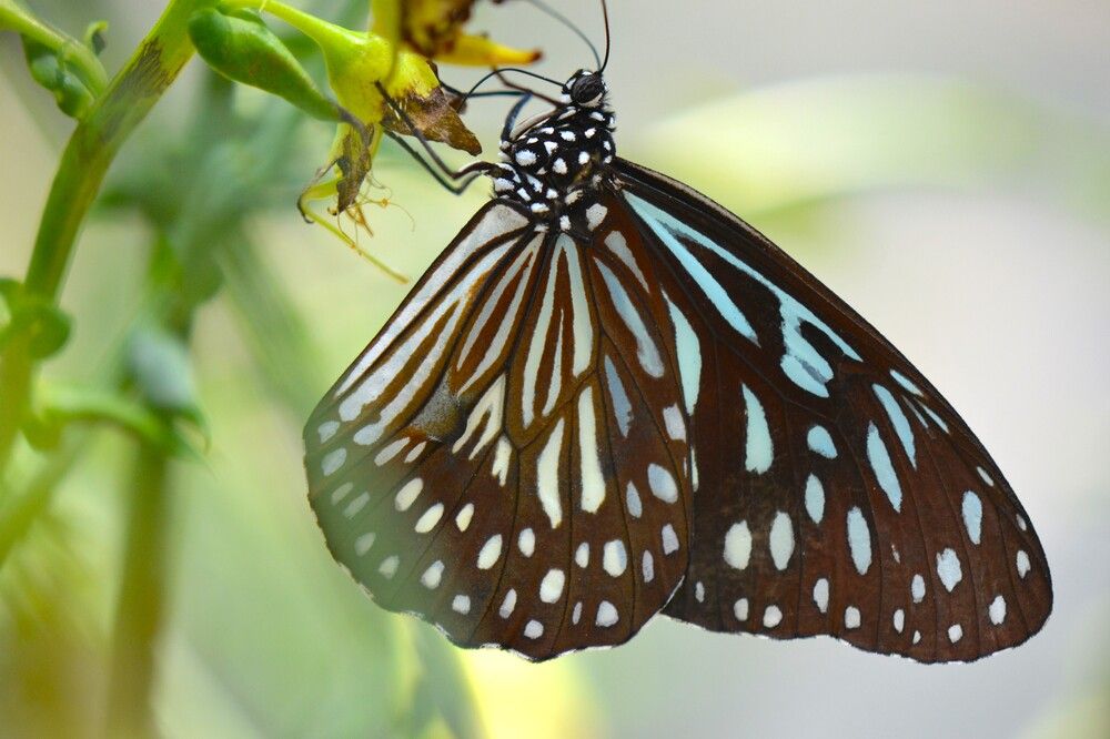 Фотография автора Наталья Владимировна