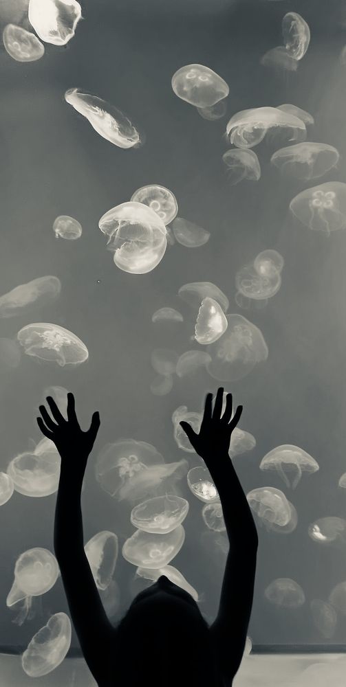 Photograph by Наталья Шумилова