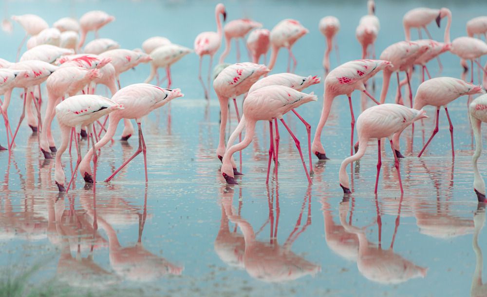 Photograph by Lodi Pertovt