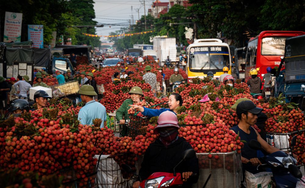 Photograph by Hanh P. T. Pham