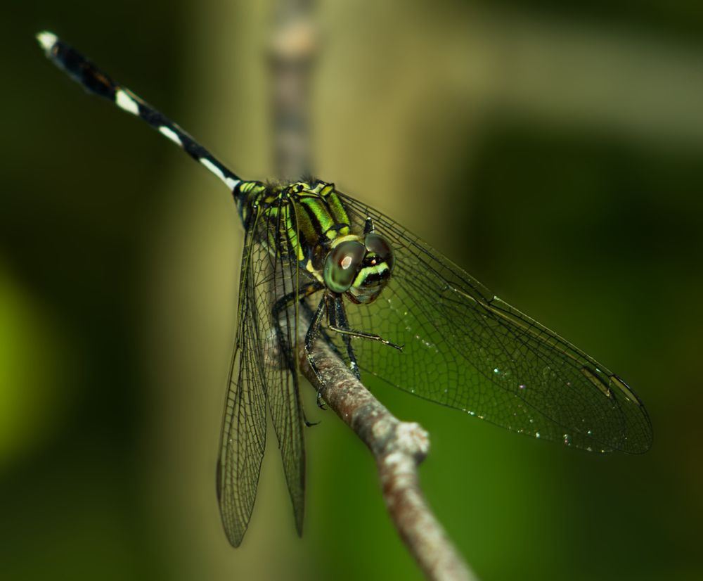Photograph by Vikas Chauhan