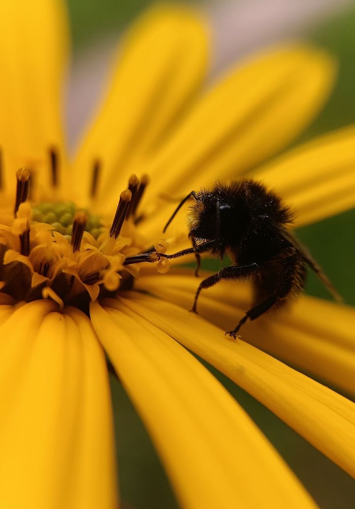 Photograph by Наталья Шумилова