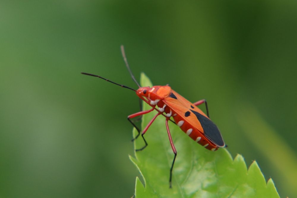 Photograph by Vikas Chauhan