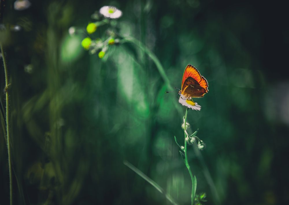 Photograph by Андрей Данилов