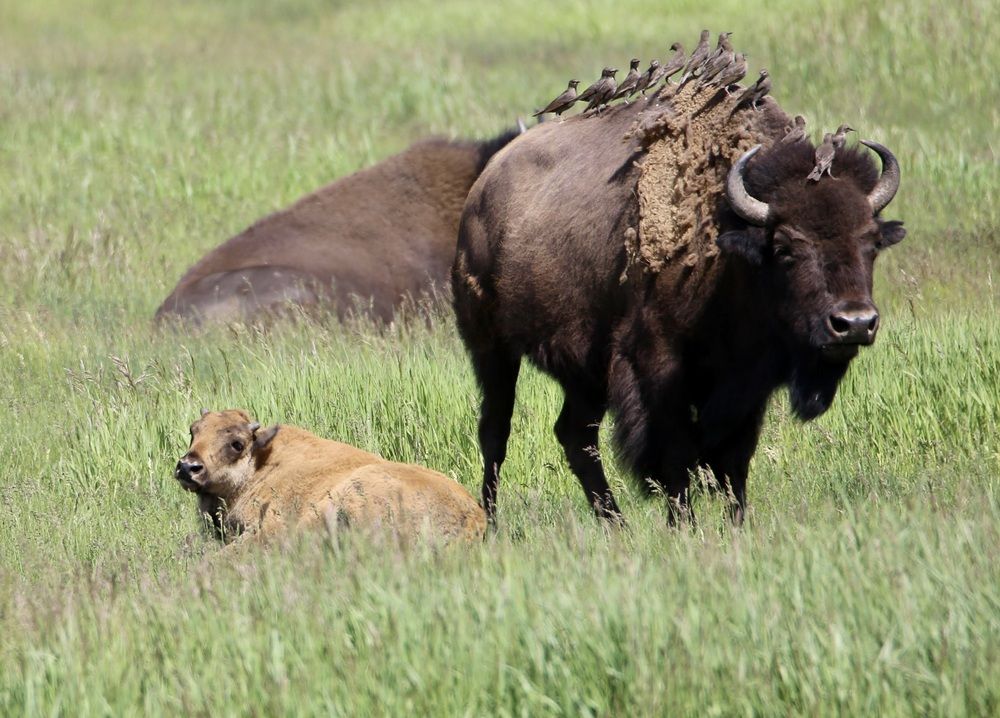 Photograph by Christopher l Roberts