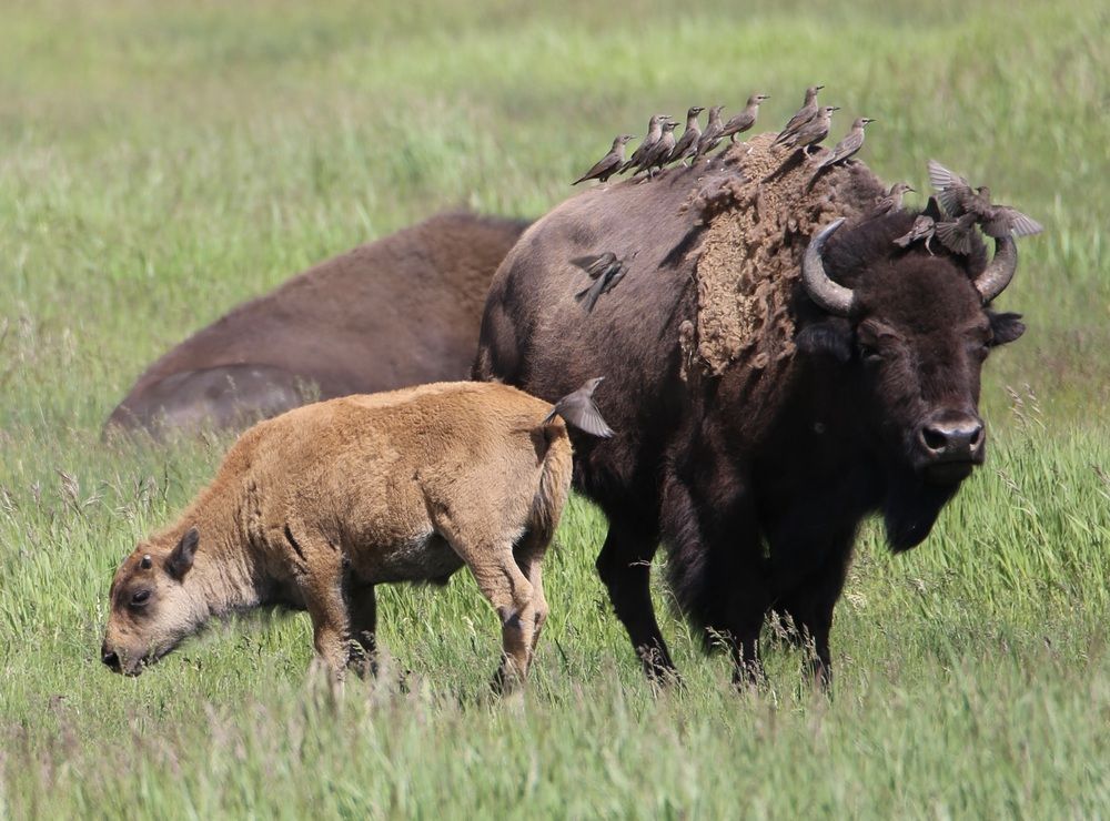 Photograph by Christopher l Roberts