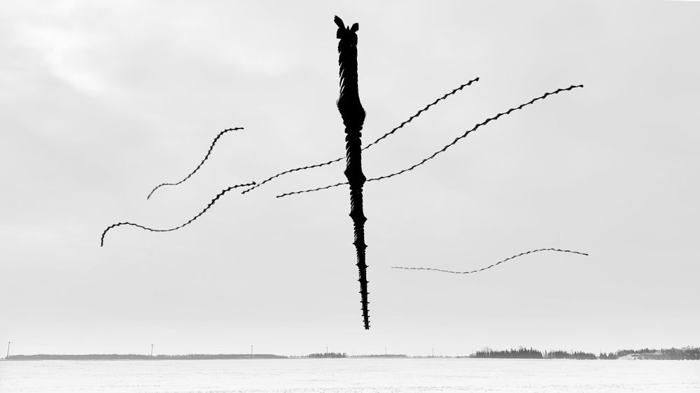 Photograph by Raghuvamsh Chavali