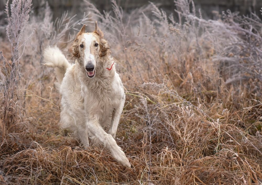 Photograph by Ольга Слободянюк