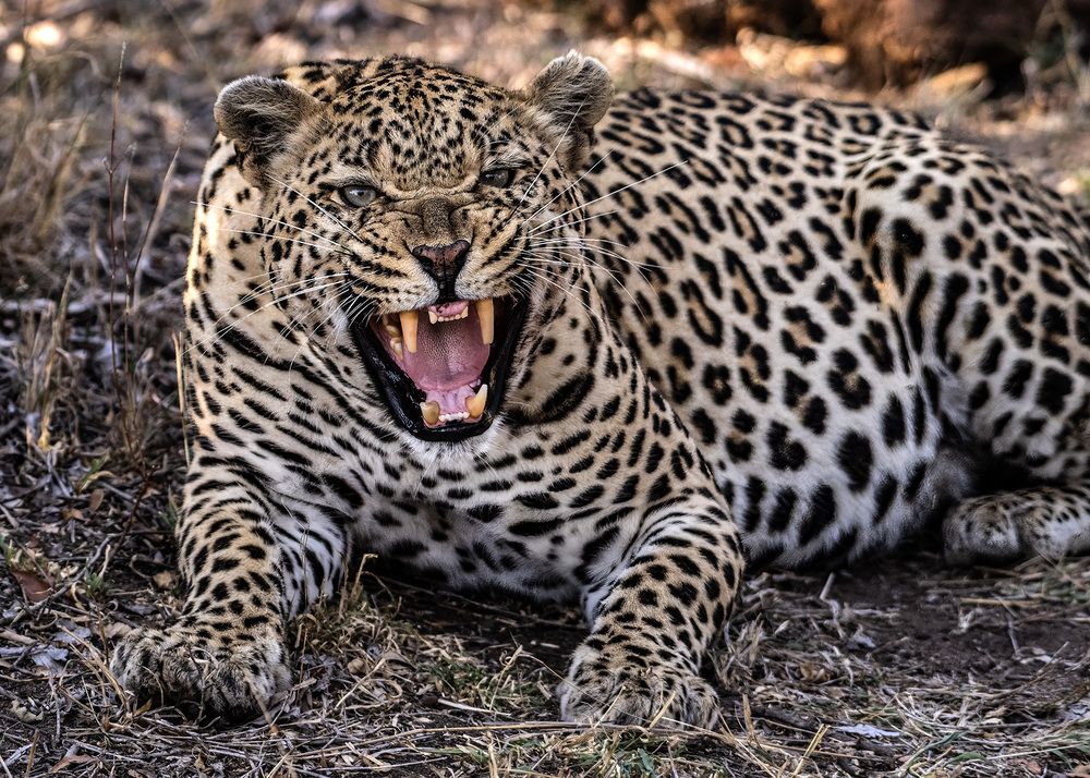 Photograph by Rose-Anne Reyes