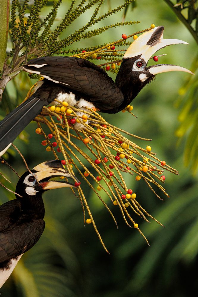 Photograph by Nuno Gregorio