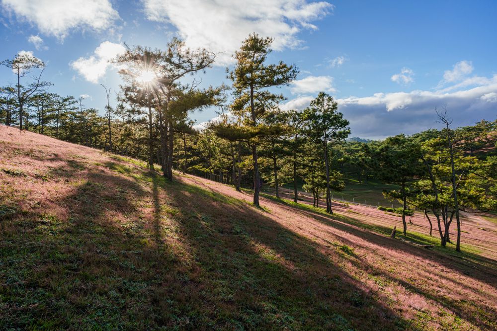 Photograph by Phong Phan Ngo Thanh