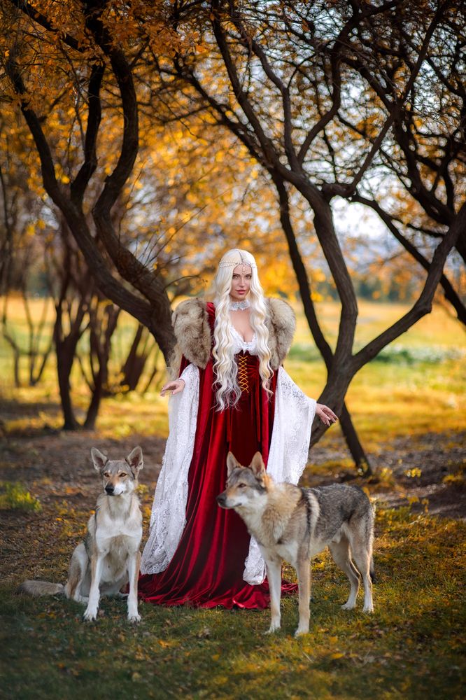 Фотография автора Софья Ознобихина