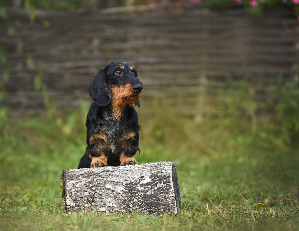 Photograph by Ольга Слободянюк