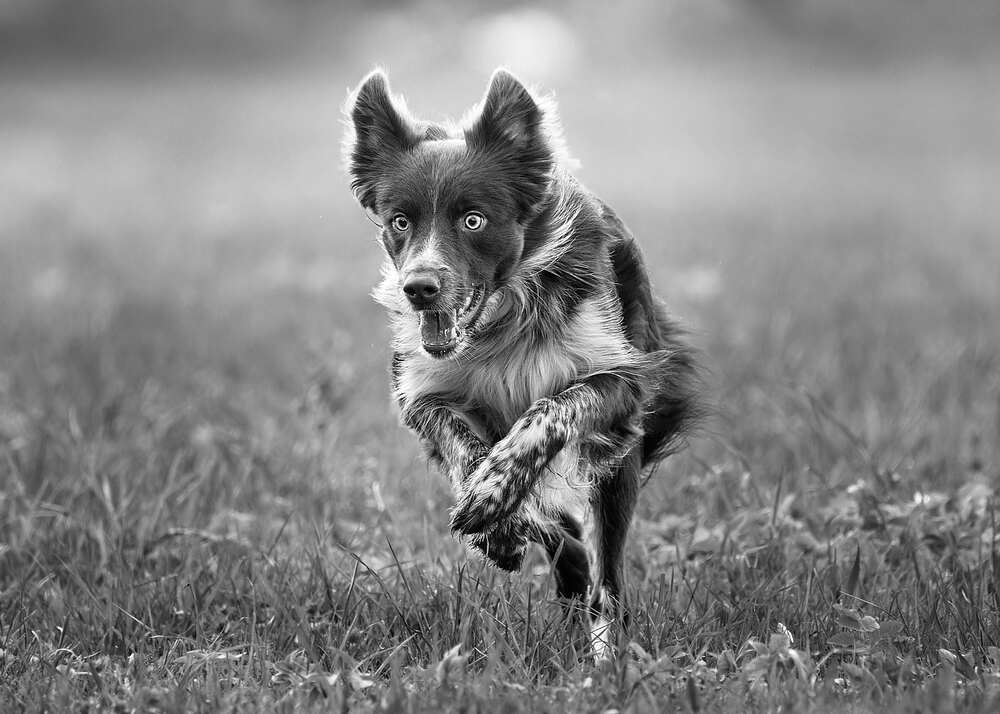 Photograph by Mikhail Khmelevskiy