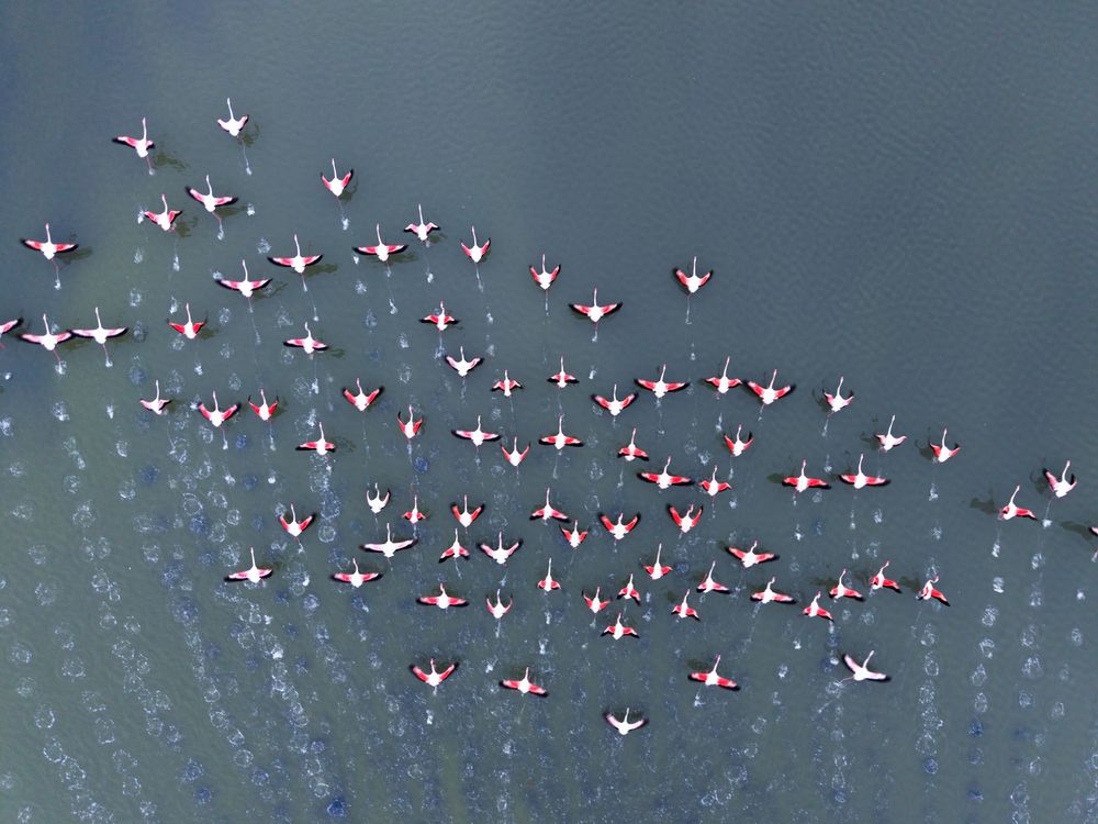 Фотография автора Puneet Verma