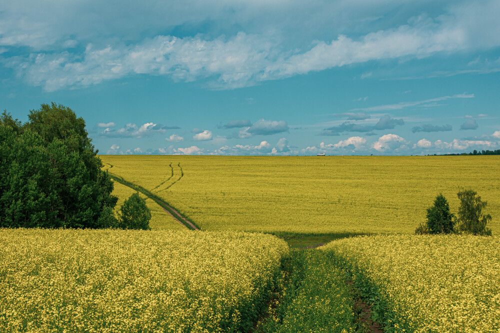 Photograph by Александр Грачев