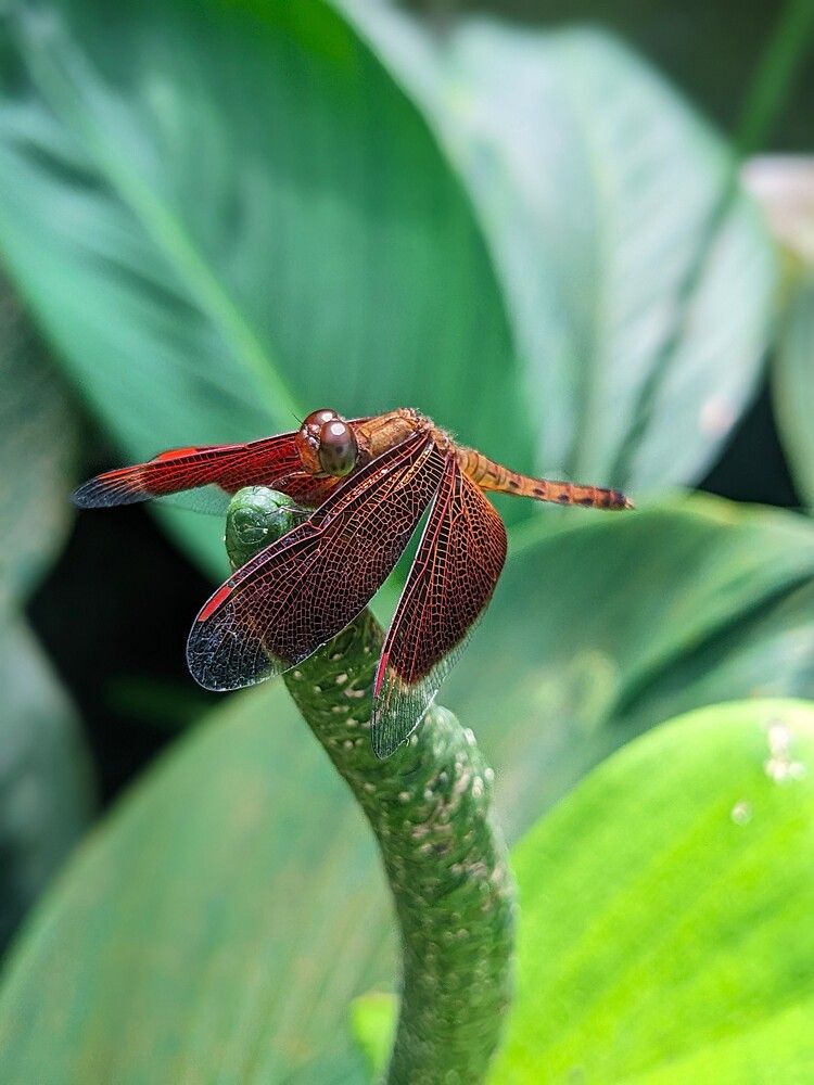 Фотография автора Елизавета