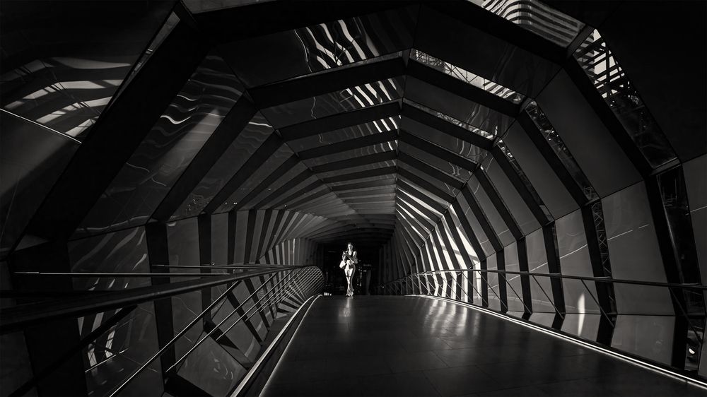 Photograph by Zhenhuan Zhou