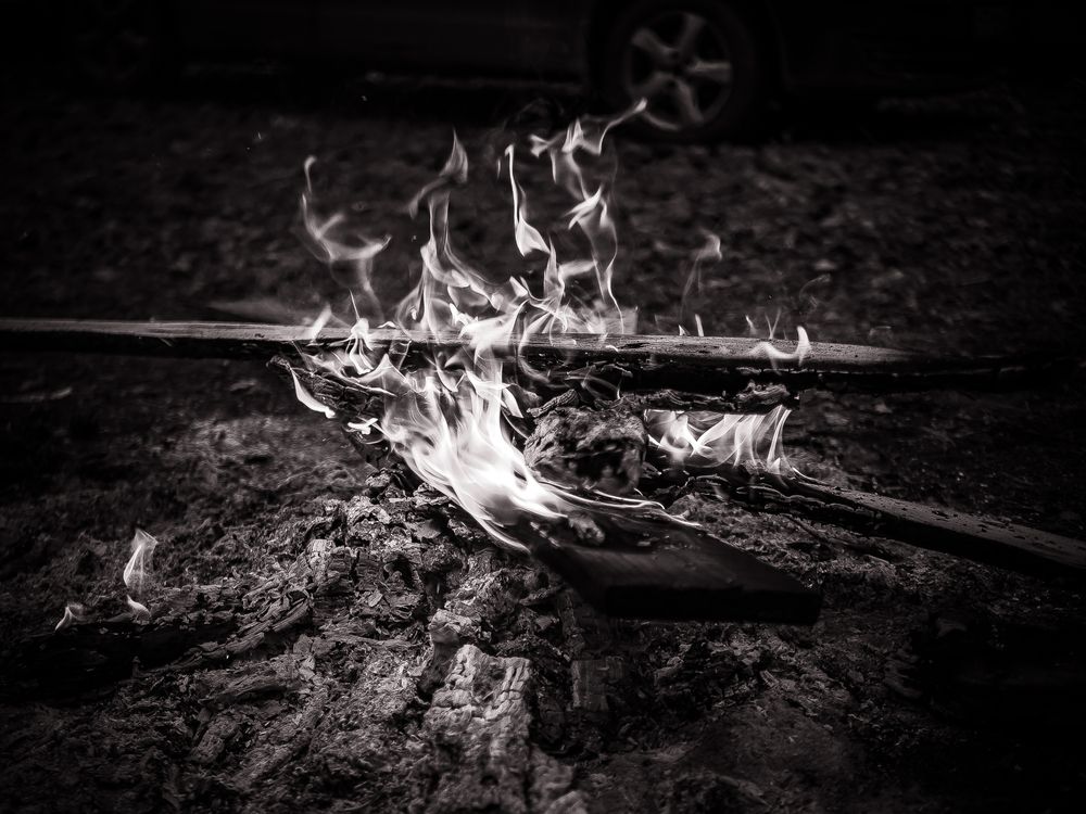 Photograph by Елена Берсенёва