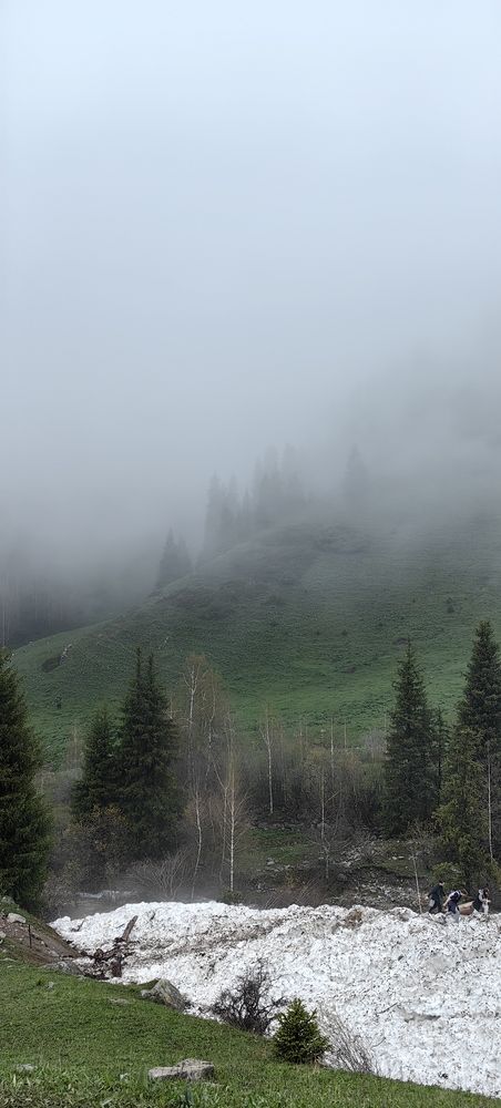 Photograph by Евгений Мелехов