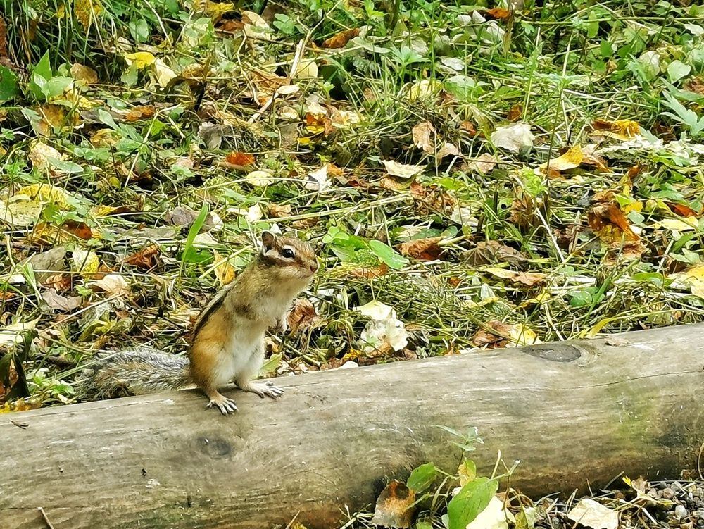 Photograph by Vyacheslav Monoszon