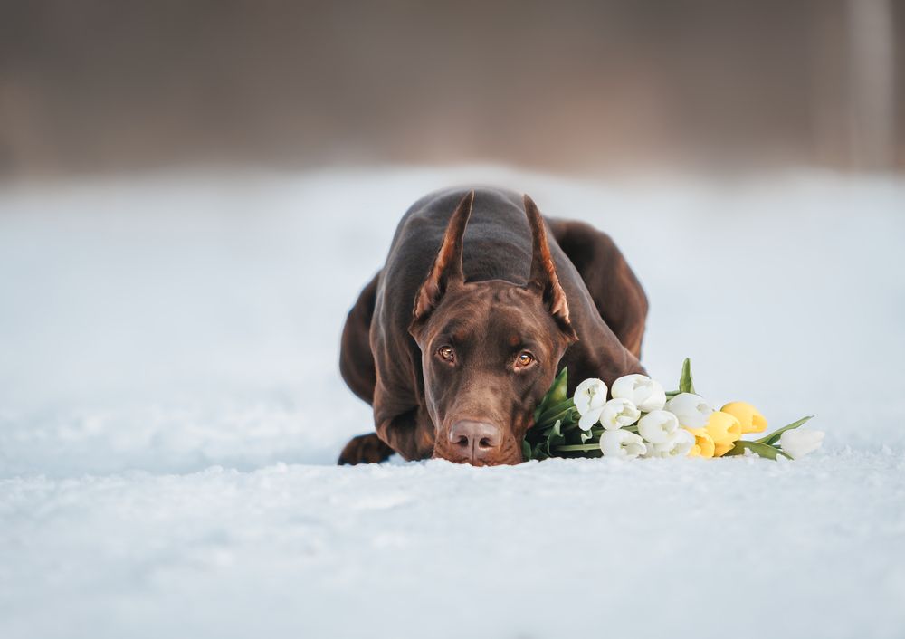 Photograph by Мария Клещенко