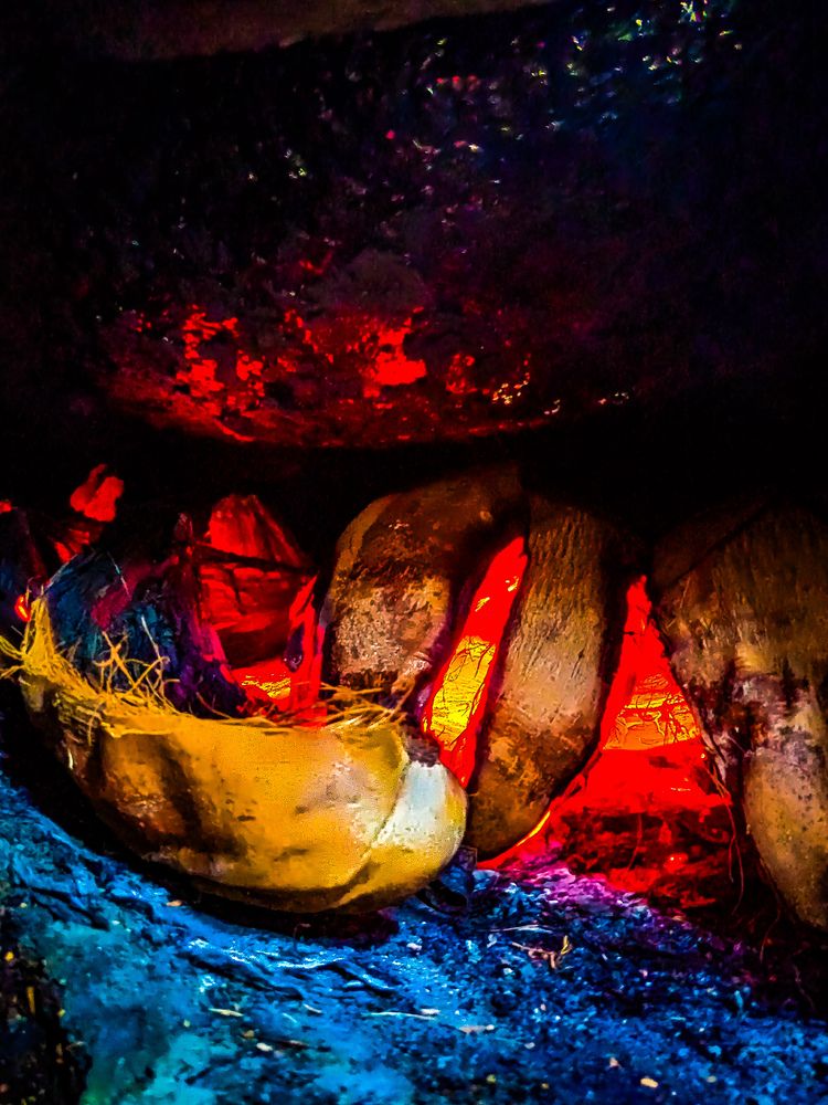 Photograph by SHRIYAKSHI