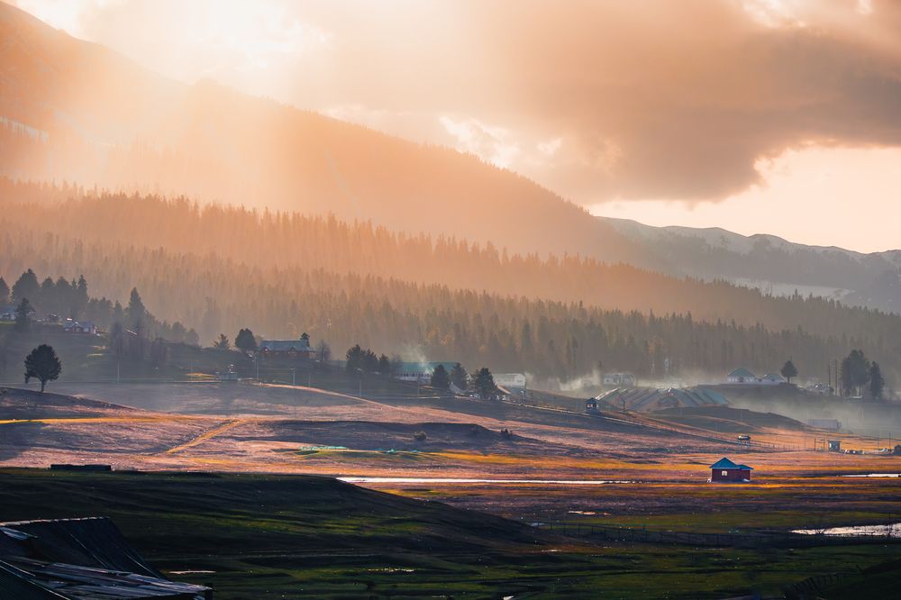 Golden Gulmarg