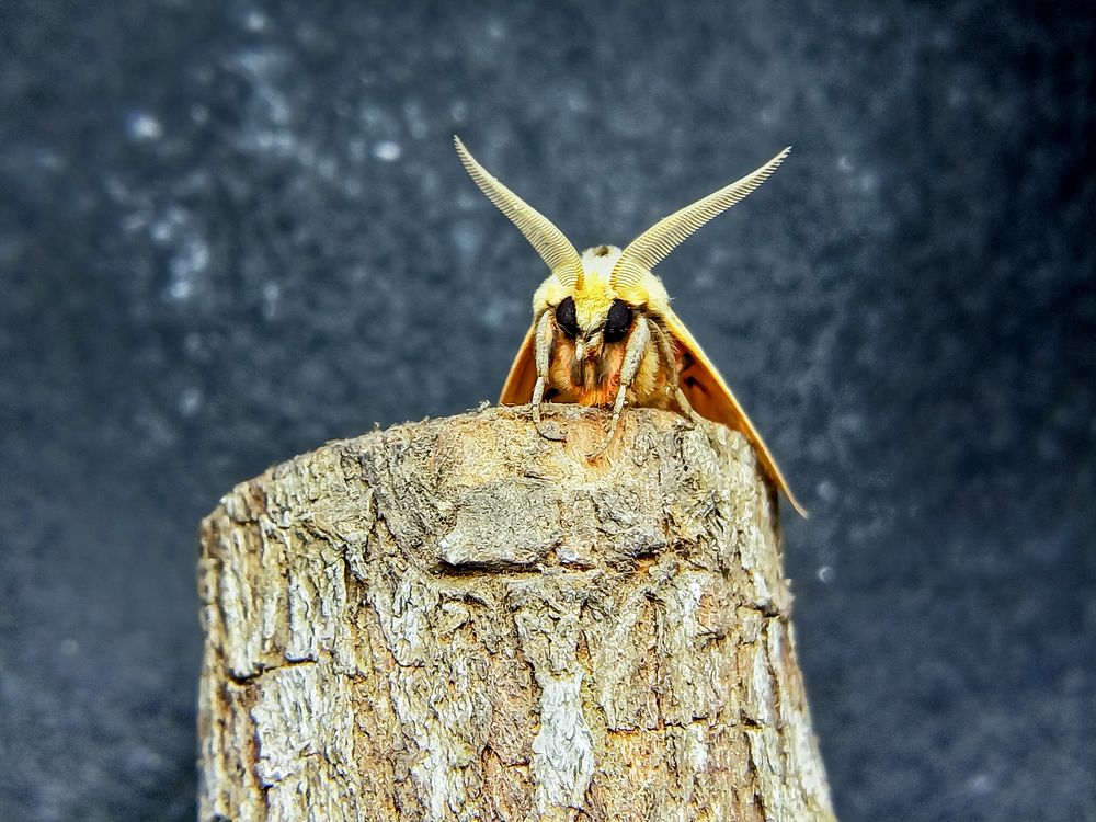 Photograph by Terence Ignatius