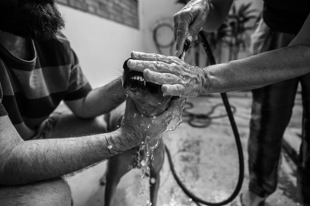 Photograph by Mila Kichalowski