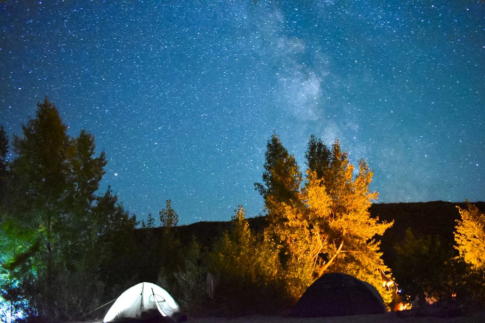 Photograph by Елена Манаева