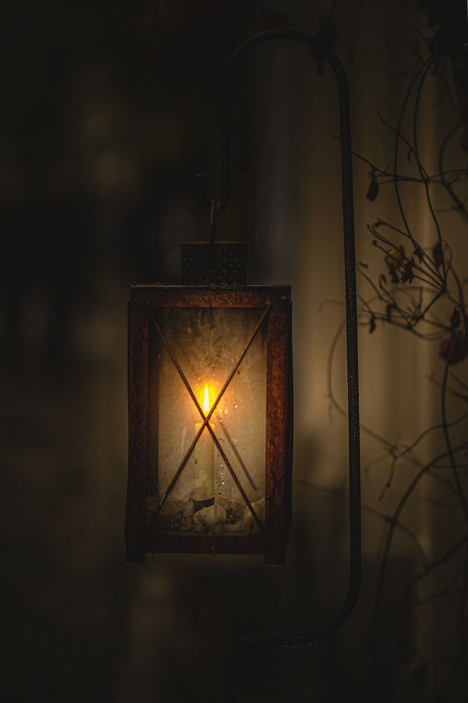 Фотография автора Leompescu Emanuel