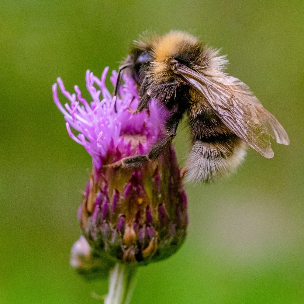 Photograph by ARTEM KORZHUKOV