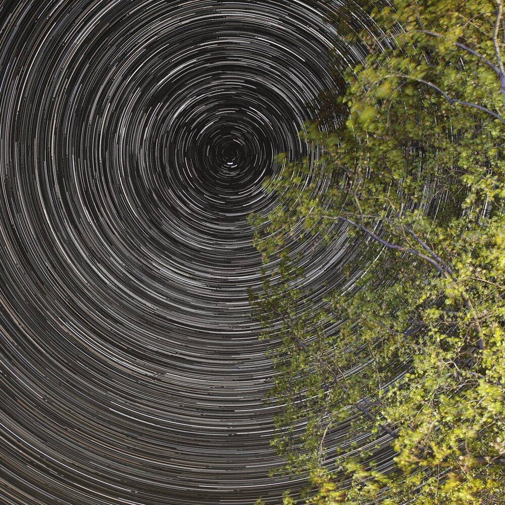 Photograph by John J Savala