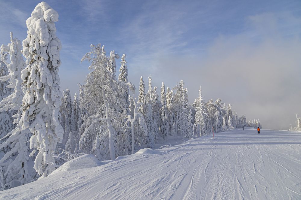Фотография автора Каргин Валерий