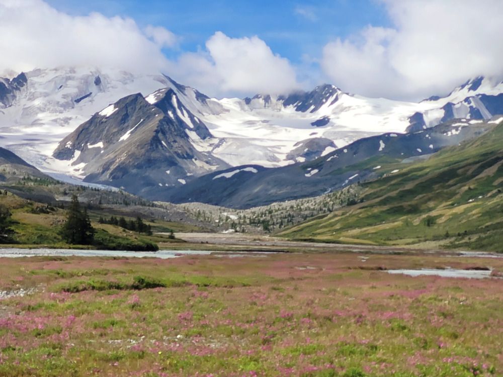 Photograph by Владимир Каверин