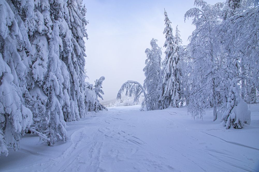 Фотография автора Каргин Валерий