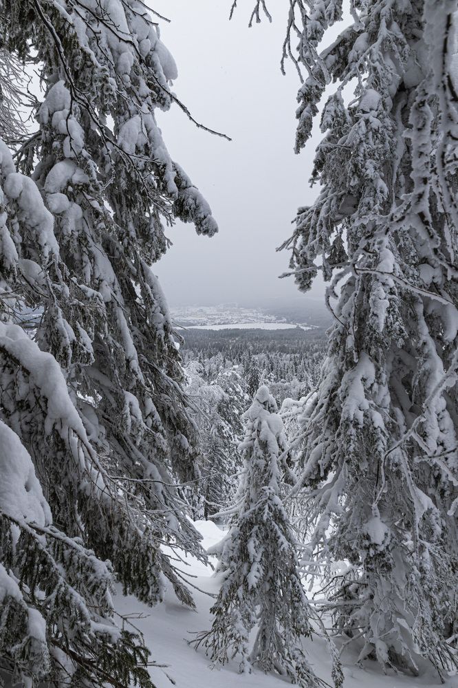 Photograph by Каргин Валерий