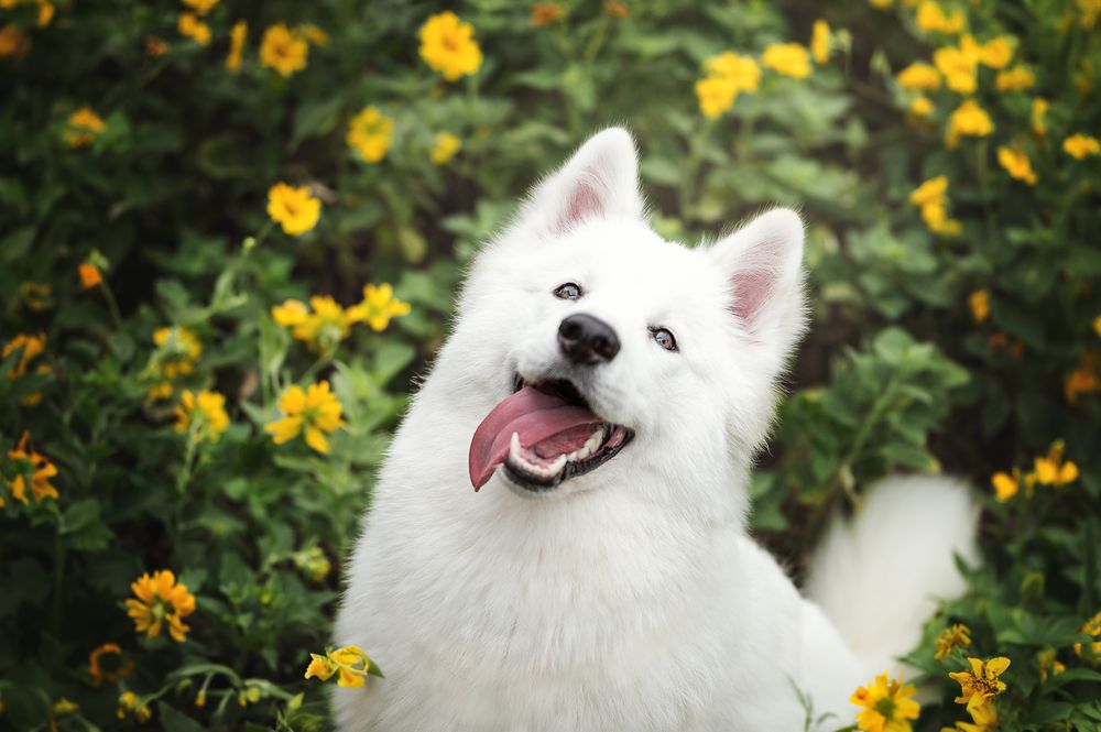 Photograph by Patricia Barros