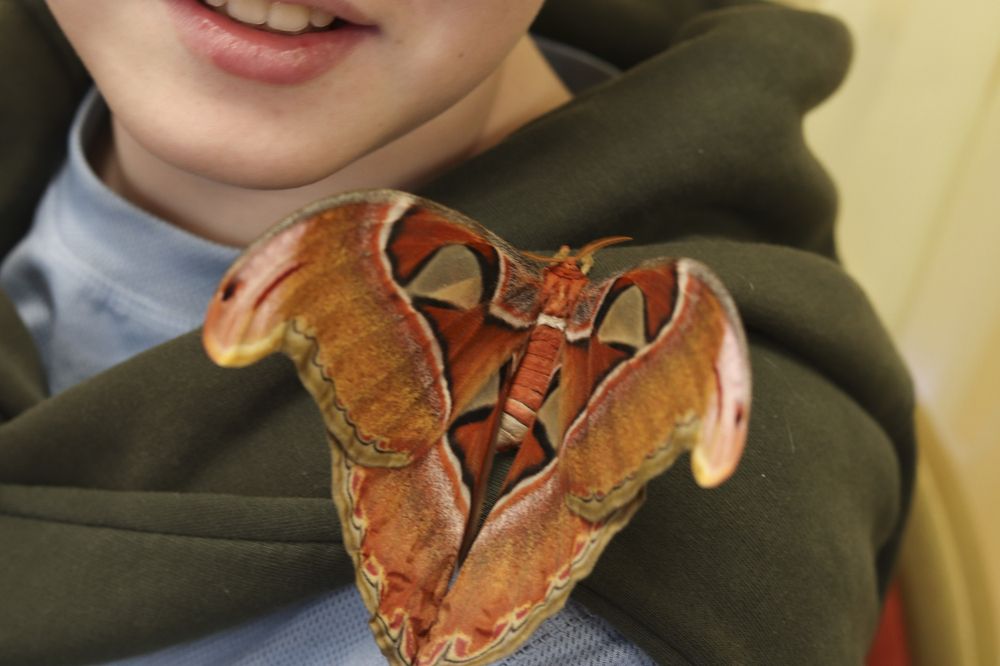 Photograph by Светлана Семакина