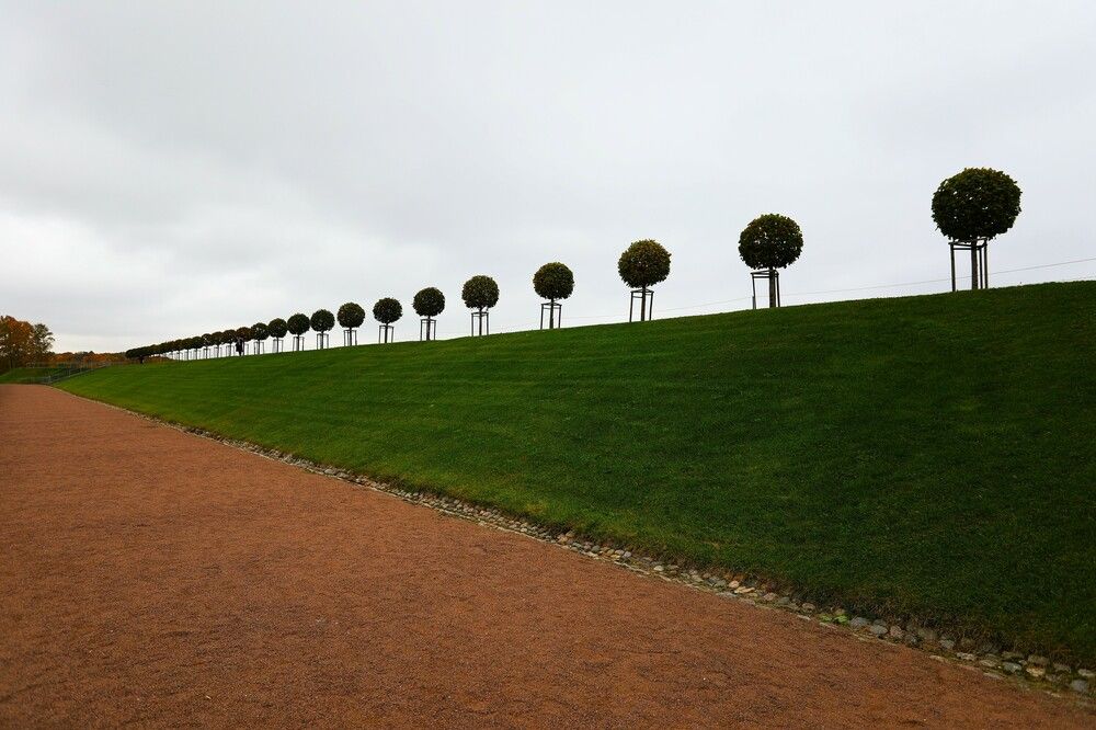 Photograph by Владимир Грибков