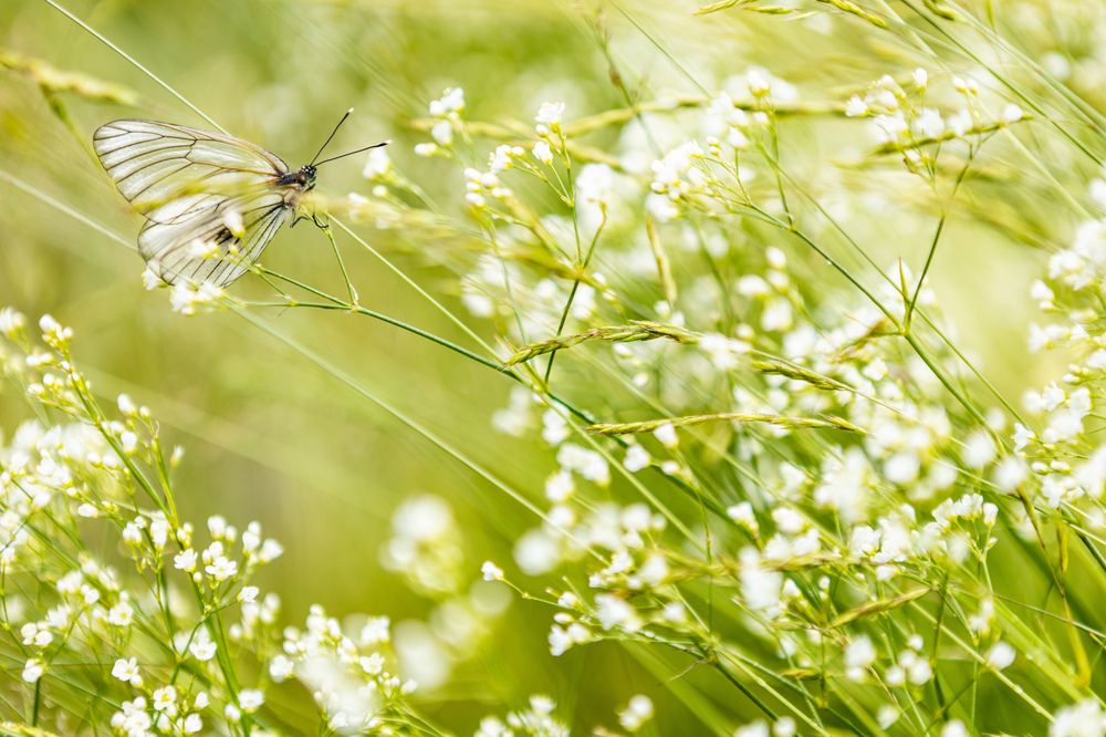 Photograph by Алексей Черников