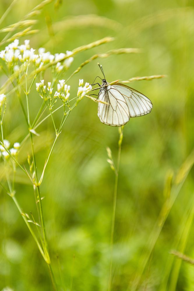 Photograph by Алексей Черников