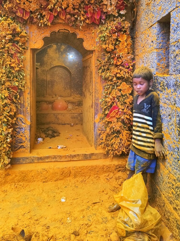 Photo #12023545