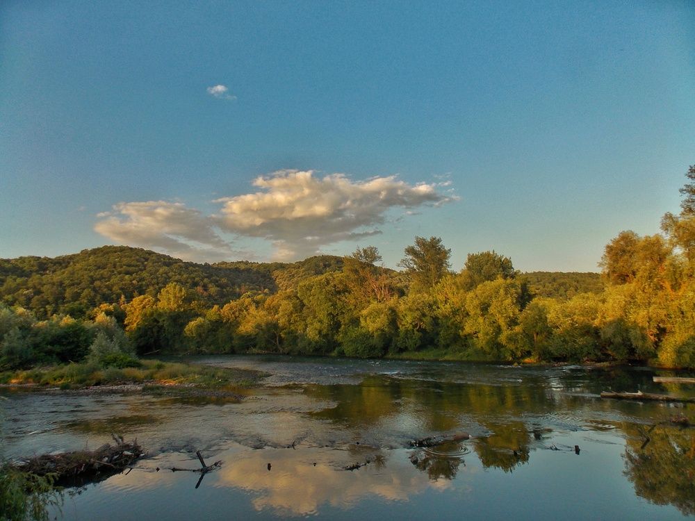 Photograph by Dragoslav Macanović