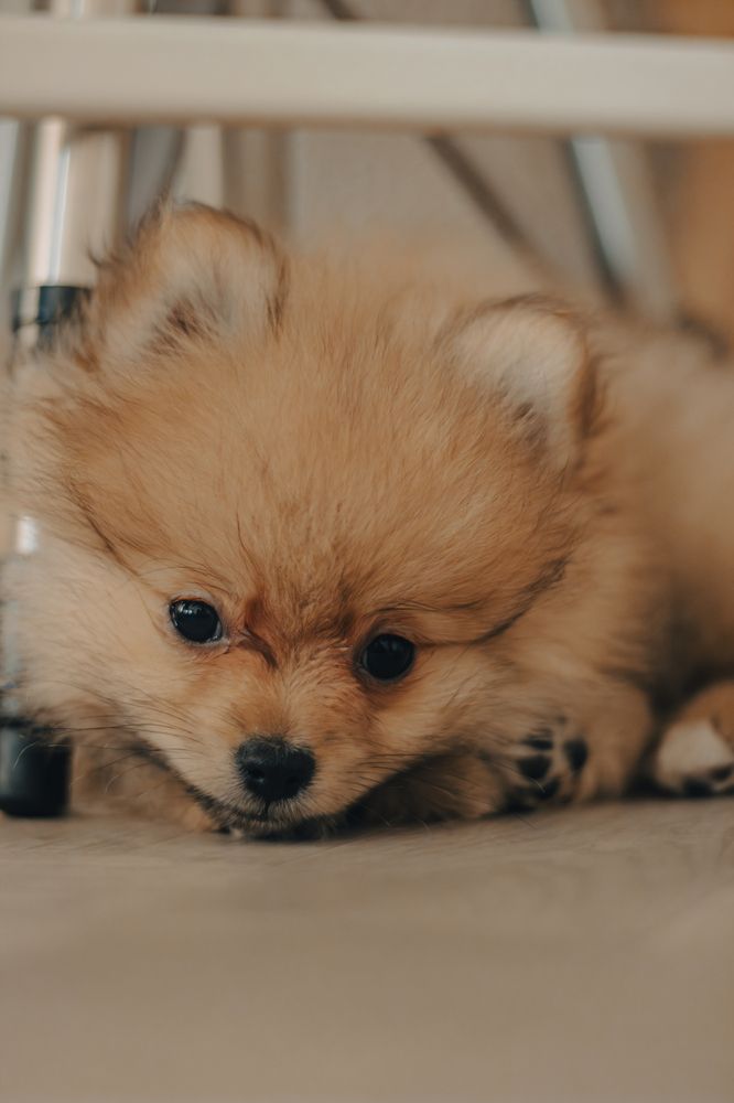 Photograph by Денис Пучков