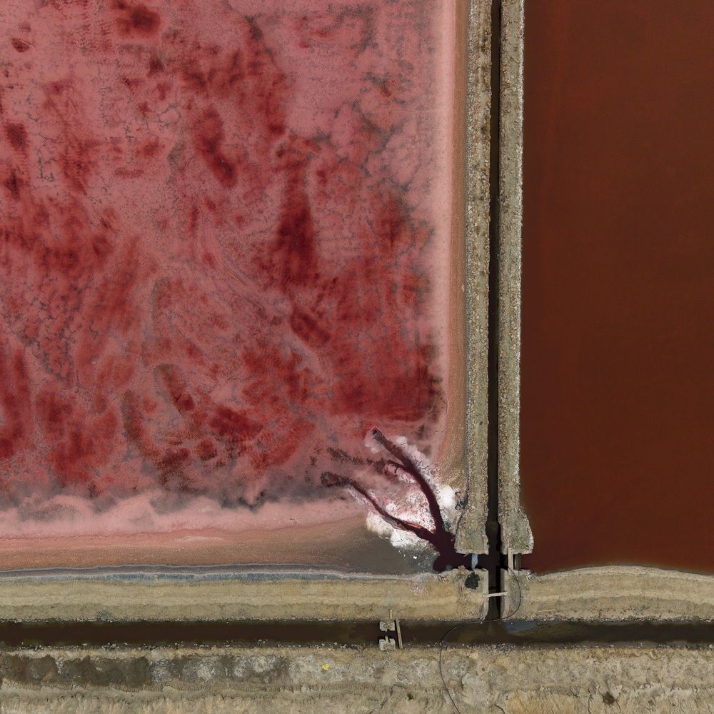 Sambhar Salt Pans from Above