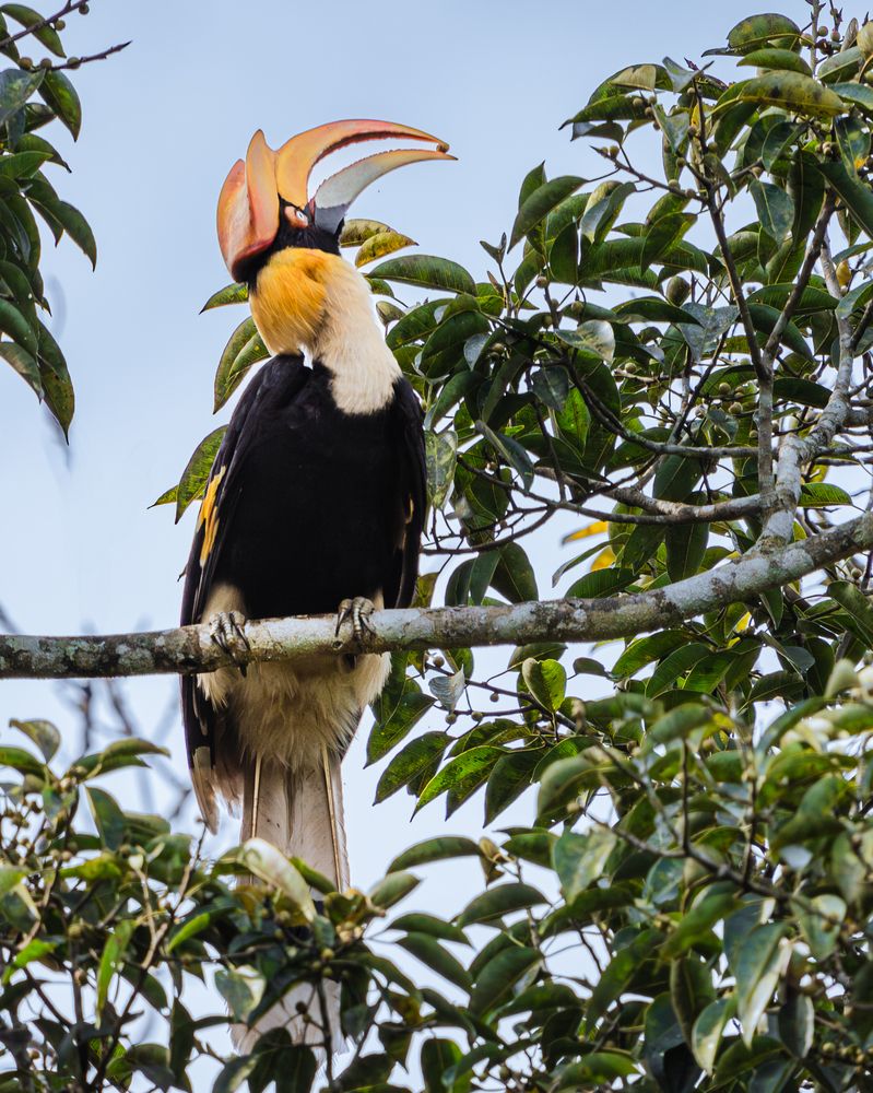 Photograph by Vineeth K