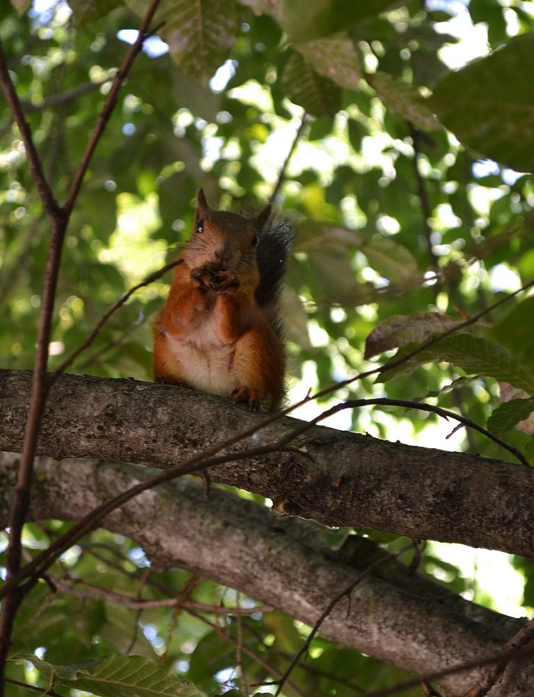 Photograph by Анастасия Дросу